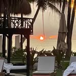 Michael L Bertolini - @bertolini.michael - Instagram