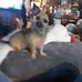 Mike Bertram - Facebook