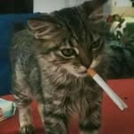 Michael Betker - @el_chivato_billy - Instagram