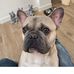 Michael Bevers - Facebook