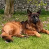 Michael_Beyer - @michael_beyer - TikTok