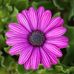 Michael Beyers - Facebook
