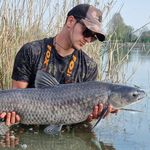 @biasion.michael_angler - Instagram