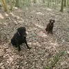 Michael Biasi - @michael.biasi - TikTok