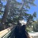 Adam Michael Bickerton - Facebook