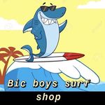 Michael And Jake Bickerton - @bic_boys_surf_shop - Instagram