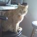 Michael Bickham - Facebook