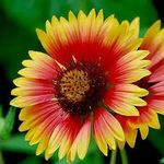 Michael Biddle - @michael.biddle.1614 - Instagram