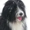 michaelbiddle786 - @michaelbiddle786 - TikTok