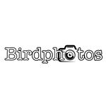 Michael bird - @_birdphotos__ - Instagram