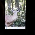 Michael Biser - @michaelbiser - Instagram