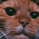 michael - @michaelbisong3 - Instagram