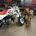 Michael Bitner - Facebook
