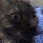 Michael blackledge - @shwabable - Instagram