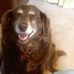 Mike Blackwelder - Facebook