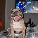 Michael Blaney - @michael_blaney55 - Instagram