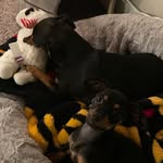 Michael Blazek - @michael.blazek12 - Instagram