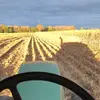 Michael Blom - @michaelblom5 - TikTok