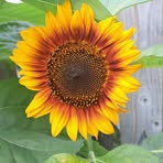 Michael Bloomer - Facebook