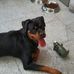 Michael Blum - Facebook