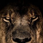 Micheal Boatwright - @michael__boatwright - Instagram