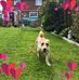Michael Boddy - Facebook