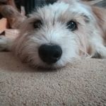Michael boddy - @bods1103 - Instagram