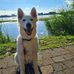 Michael Bode - Facebook