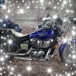 Michael Bodine - @michaelbodine - Instagram