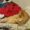 michaelboehm776 - @michaelboehm776 - TikTok