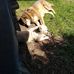 Michael Bohnen - Facebook