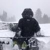 Michael Bold - @michaelbold2354 - TikTok