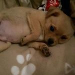 Michael Boldt - @michael.boldt.982 - Instagram