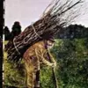 Michael Bolich - @user392854162 - TikTok