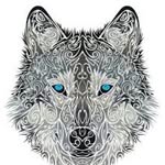 Michael Bombard - @bombardmichael - Instagram