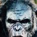 Michael Thomas Bonanni - Facebook