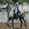 Michael Bonanno - @michaelbonanno2 - TikTok