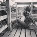 Michael Bonebrake - Facebook