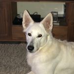 Michael Bones - @bones4870 - Instagram