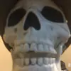 Michael Bones - @youravrageskeleton - TikTok