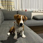 Bonfield Michael - @bonfieldmichael - Instagram