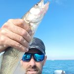Michael Bonfield - @autipaca - Instagram