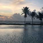 Michael Bonica - @bonica71 - Instagram