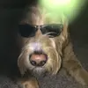 Michael Bonifas - @michaelbonifas - TikTok