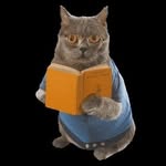 Michael book cat - @dotonczapa - Instagram