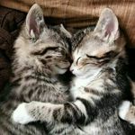 Michael Borchard - @dragonhd123 - Instagram