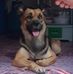 Michael Borlaza - Facebook