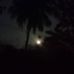 Michael Borlaza - Facebook