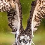 Michael Bormann - @michael.bormann.568 - Instagram