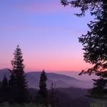 Michael Borne - @michael_borne - Instagram